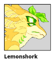 Lemon Shork/Costumes