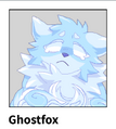 Ghost Fox/Costumes