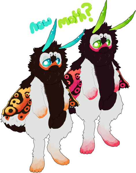 File:New moth.png